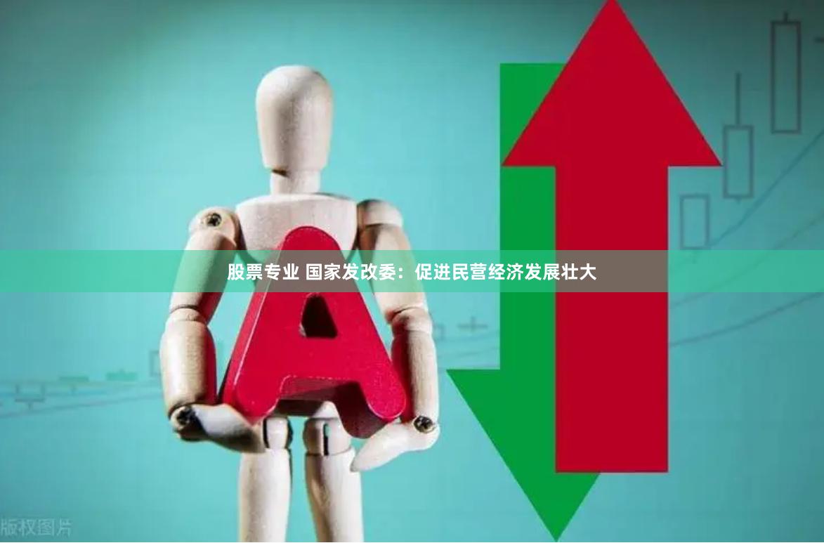 股票专业 国家发改委：促进民营经济发展壮大