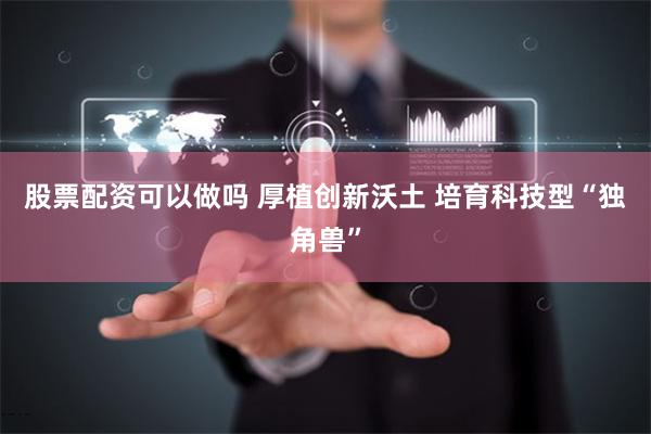 股票配资可以做吗 厚植创新沃土 培育科技型“独角兽”
