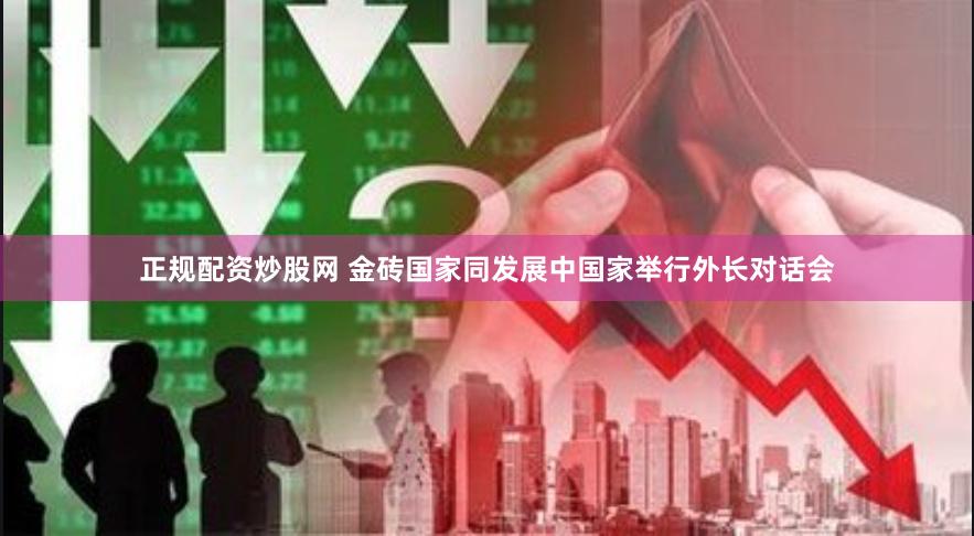 正规配资炒股网 金砖国家同发展中国家举行外长对话会