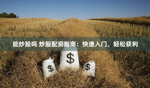 能炒股吗 炒股配资指南：快速入门，轻松获利